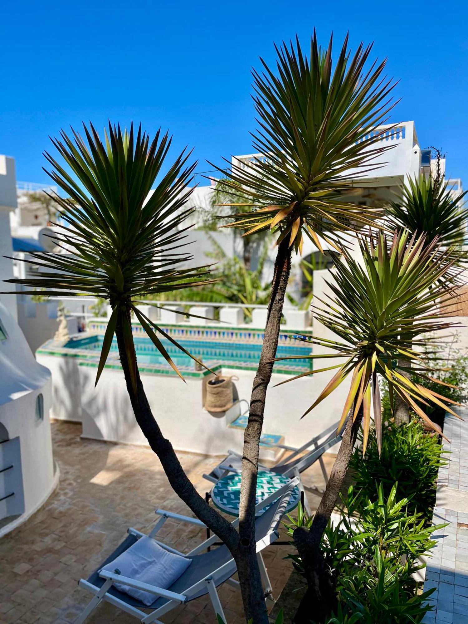 Riad Oasis D'Asilah Exteriér fotografie
